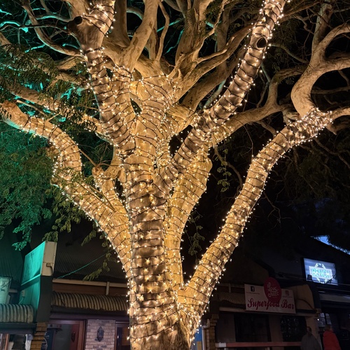30m Fairy Light Kit With Power Supply (IP67)